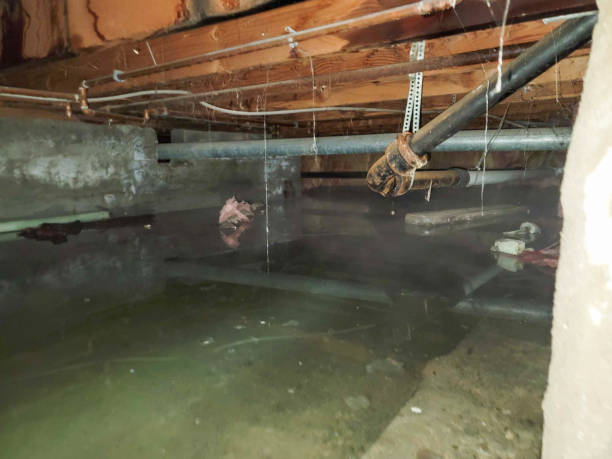 Best Emergency water damage restoration  in Denair, CA