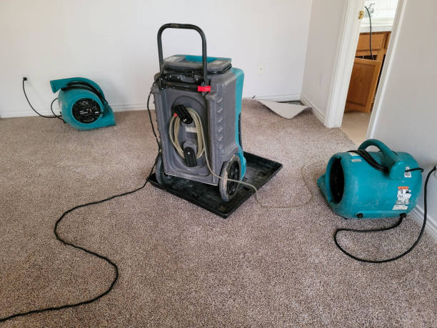 Best Water damage restoration process  in Denair, CA