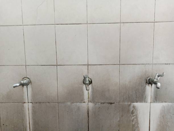 Best Mold removal after water damage  in Denair, CA
