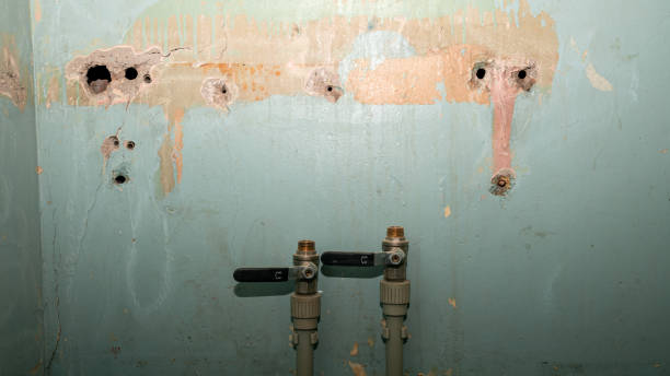 Best Water damage cleanup near me  in Denair, CA